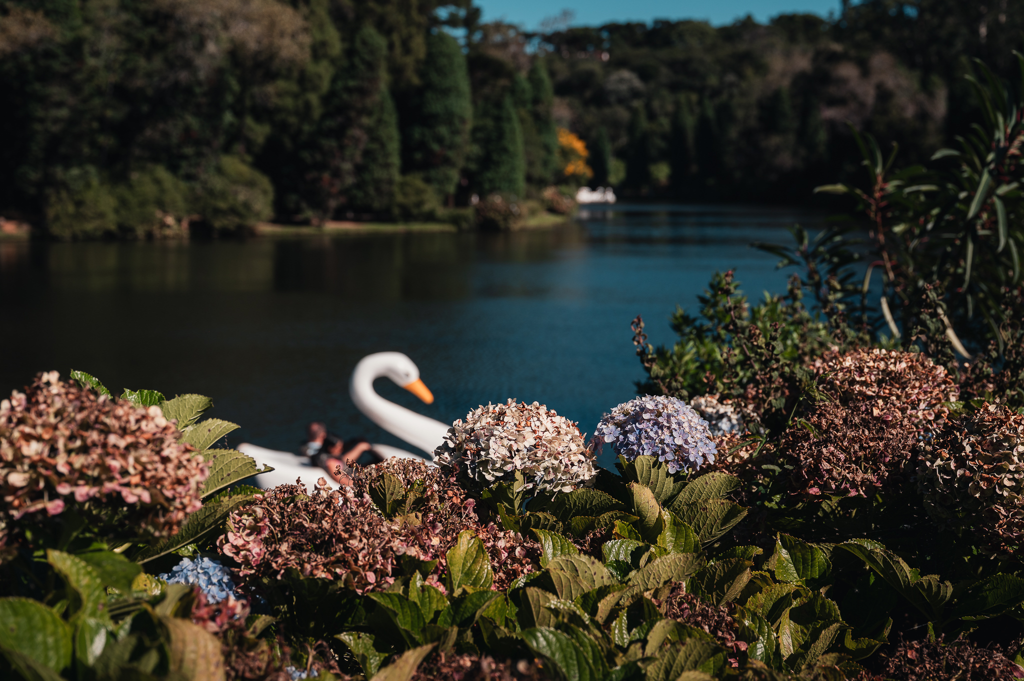 O que fazer em Gramado além dos pontos turísticos tradicionais